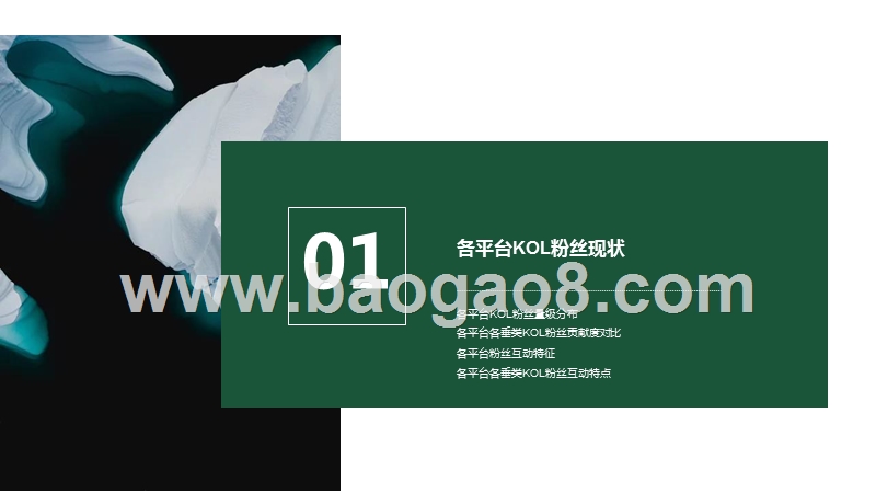 2020看得见的粉丝价值：四大平台KOL粉丝分析研究报告.pptx_第5页