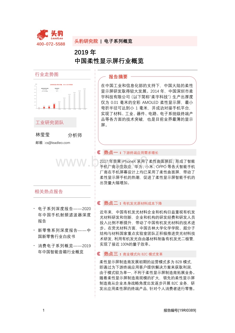 2019年中国柔性显示屏行业概览.pdf_第1页