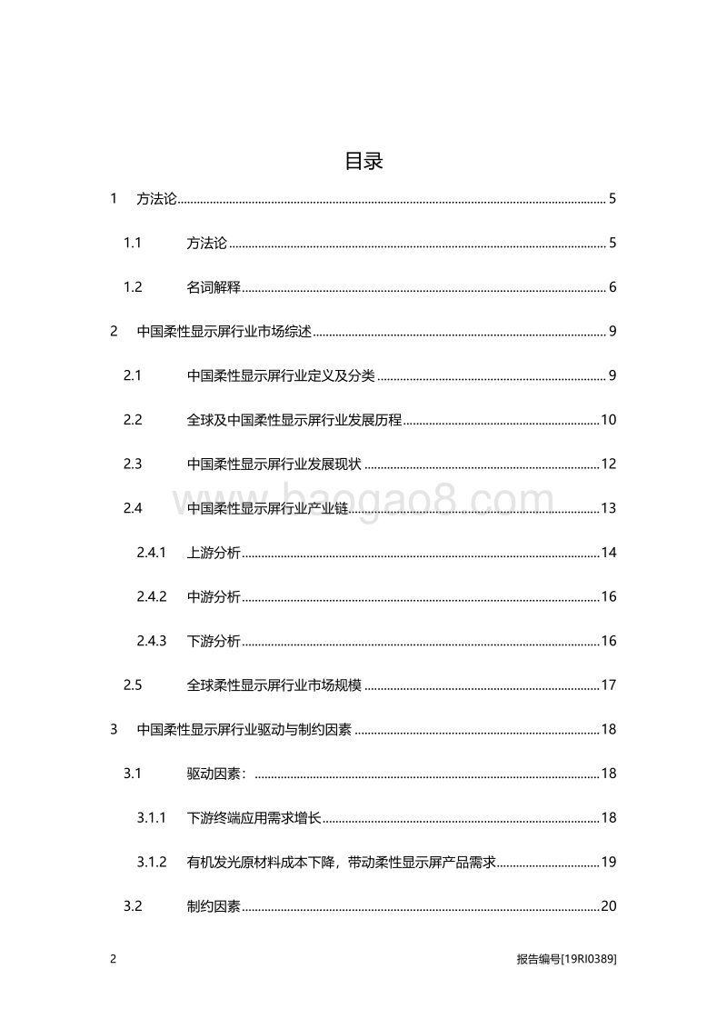 2019年中国柔性显示屏行业概览.pdf_第2页