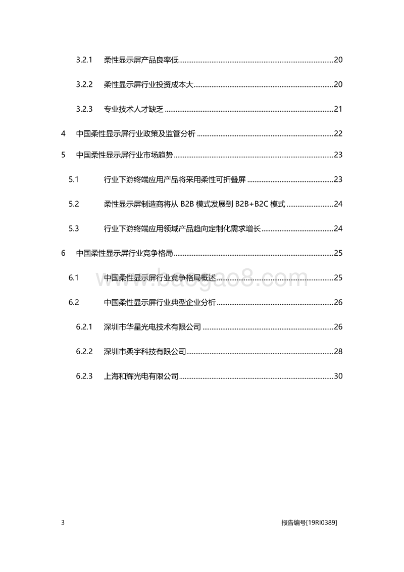 2019年中国柔性显示屏行业概览.pdf_第3页