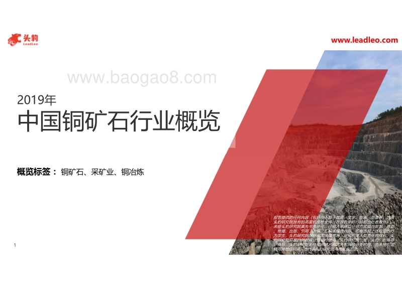 2019年中国铜矿石行业概览.pdf_第1页