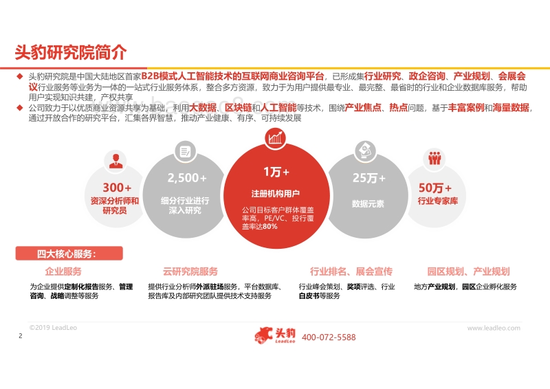 2019年中国铜矿石行业概览.pdf_第2页