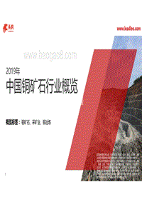 2019年中国铜矿石行业概览.pdf