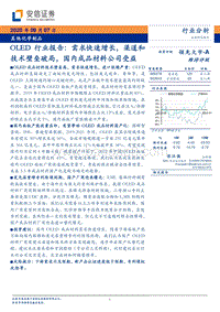 OLED行业报告：需求快速增长，渠道和技术壁垒破局，国内成品材料公司受益.pdf