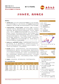 家电行业2020年半年报总结：方经彻骨寒，期待梅花香.pdf