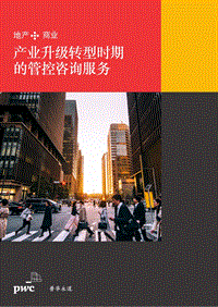 地产+商业：产业升级转型时期的管控咨询服务.pdf
