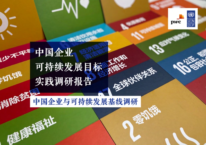 中国企业可持续发展目标实践调研报告.pdf_第1页