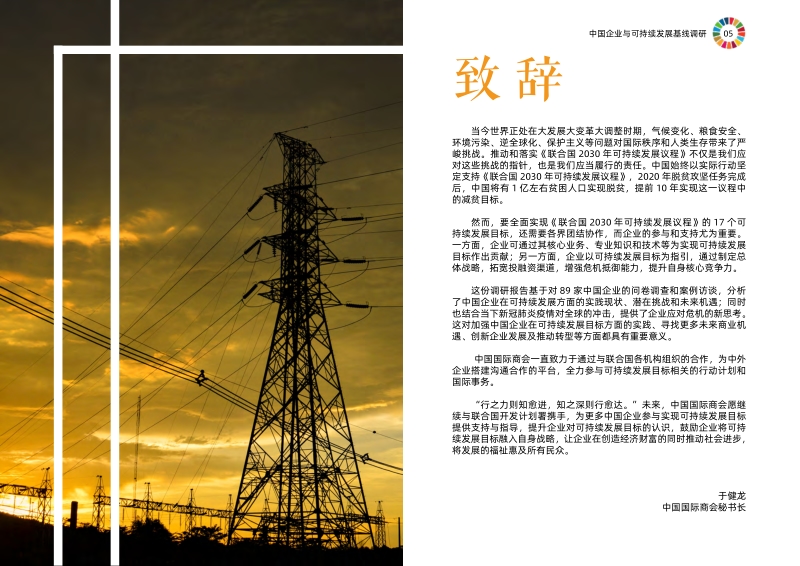 中国企业可持续发展目标实践调研报告.pdf_第5页