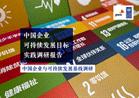 中国企业可持续发展目标实践调研报告.pdf