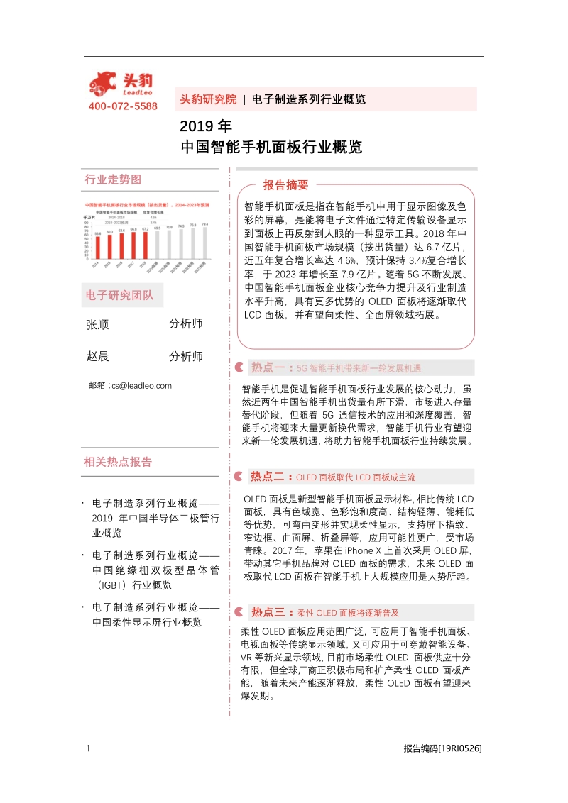 2019年中国智能手机面板行业概览.pdf_第1页