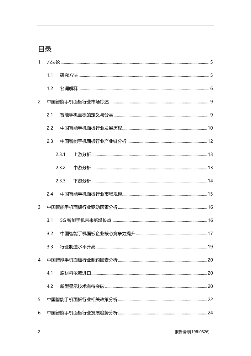 2019年中国智能手机面板行业概览.pdf_第2页