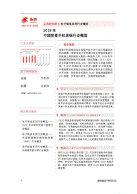 2019年中国智能手机面板行业概览.pdf