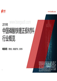2019年中国磷酸铁锂正极材料行业概览.pdf