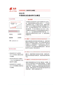 2019年中国锂电池负极材料行业概览.pdf