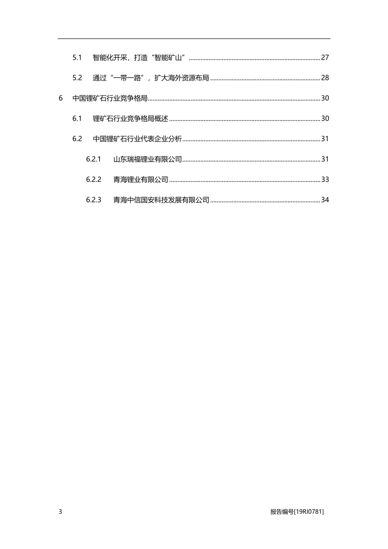 2019年中国锂矿石行业研究概览.pdf_第3页
