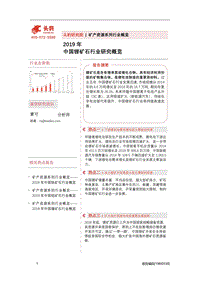 2019年中国锂矿石行业研究概览.pdf