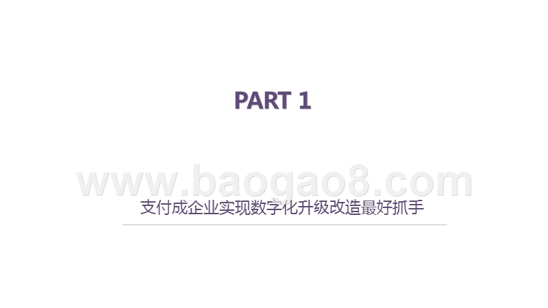 2020-2021中国第三方支付企业服务市场数字化发展研究报告.pptx_第3页