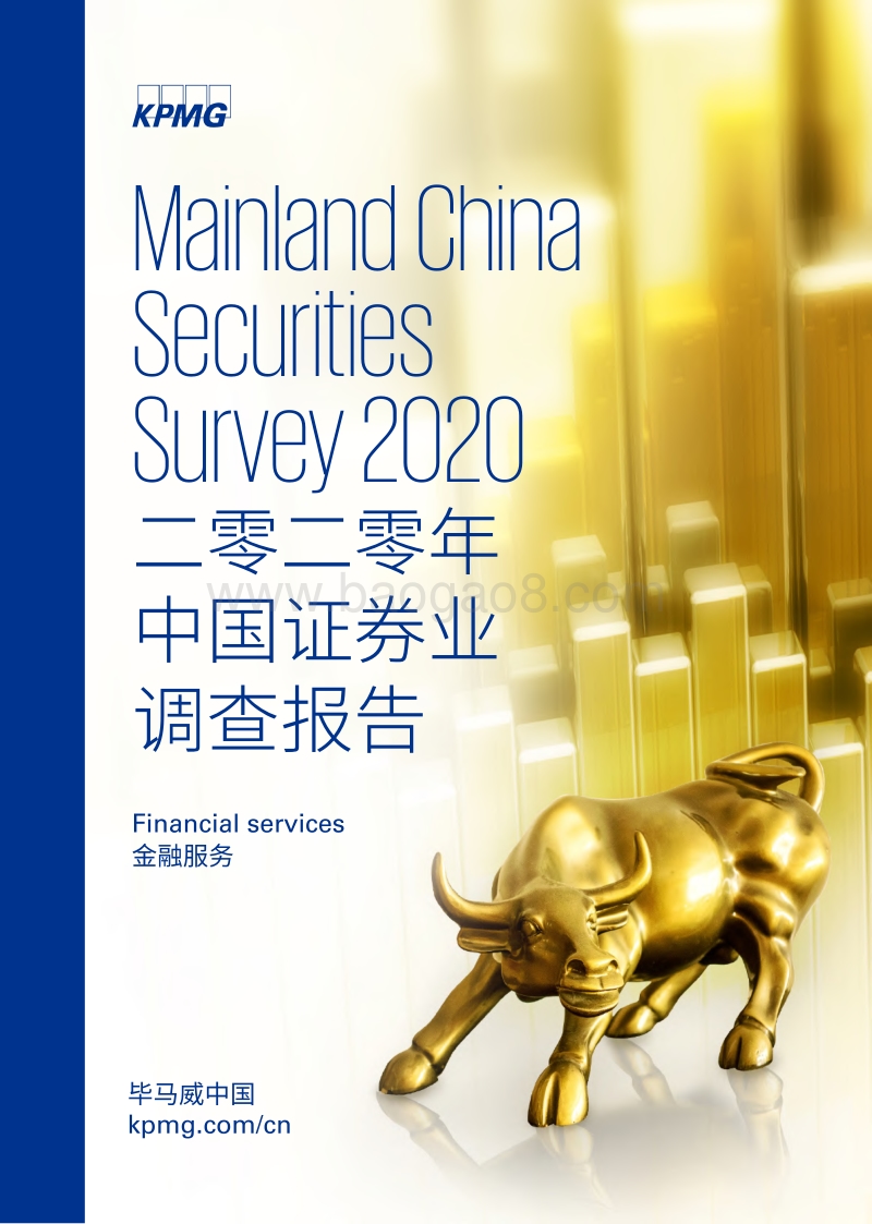 2020年中国证券业调查报告.pdf_第1页