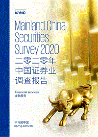 2020年中国证券业调查报告.pdf