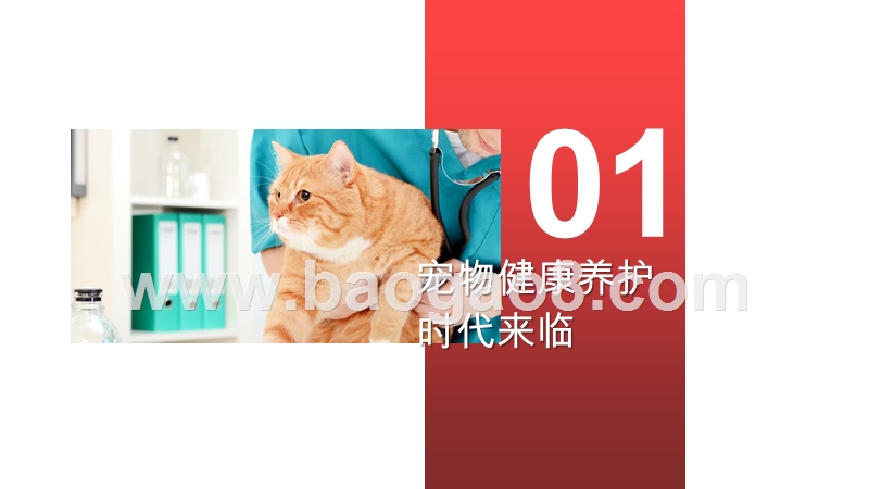 2020-2021宠物医疗消费研究报告.pptx_第3页