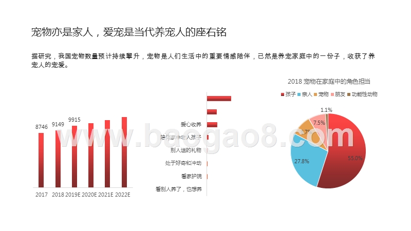 2020-2021宠物医疗消费研究报告.pptx_第4页