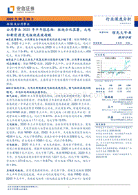 公用事业2020年半年报总结.pdf