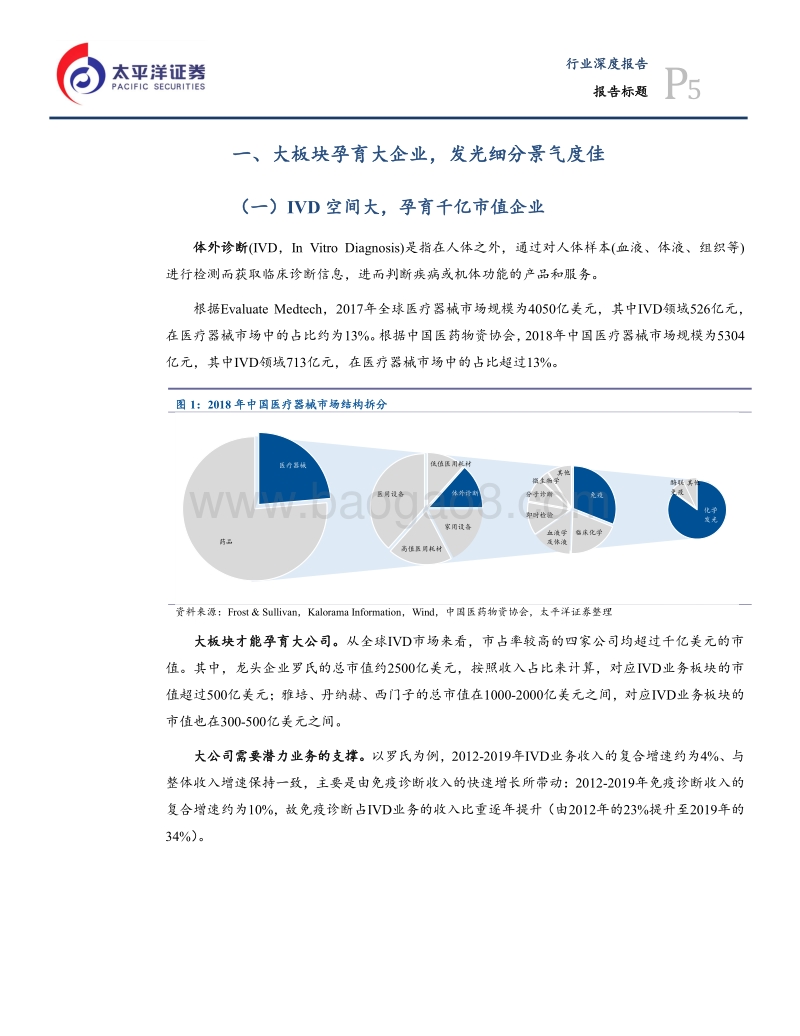 体外诊断行业系列报告：国产化学发光乘风破浪.pdf_第5页