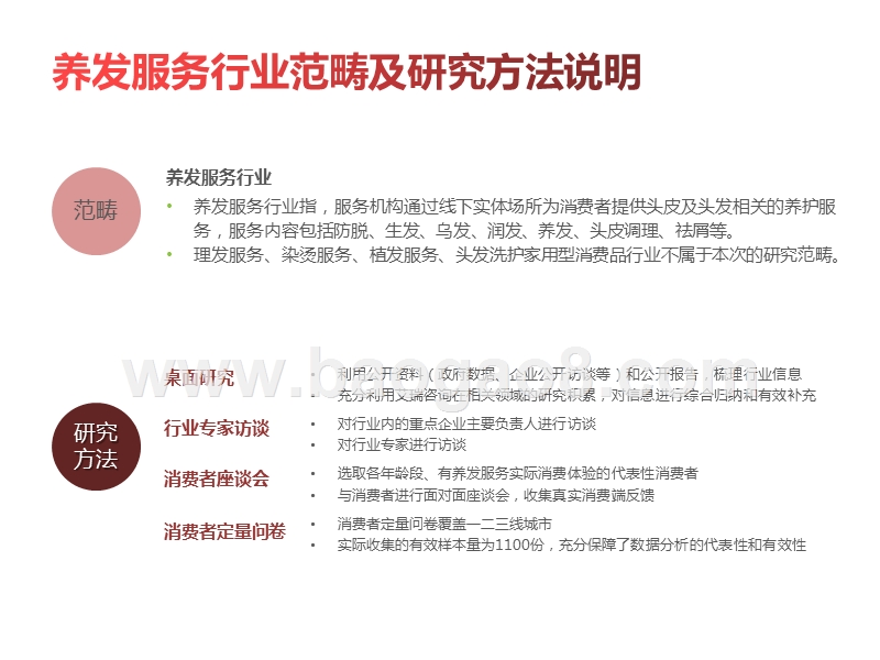 2020-2021中国养发服务行业研究报告.pptx_第2页