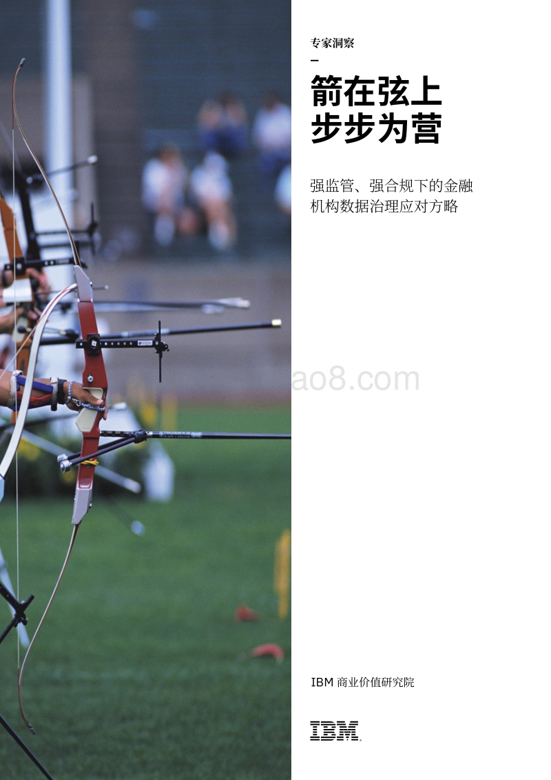 箭在弦上，步步为营：强监管、强合规下的金融机构数据治理应对方略.pdf_第1页
