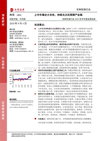 农林牧渔行业2020年半年报业绩综述.pdf