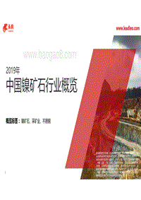 2019年中国镍矿石行业概览.pdf