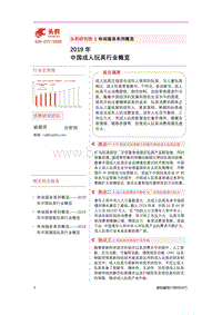 2019年中国成人玩具行业概览.pdf