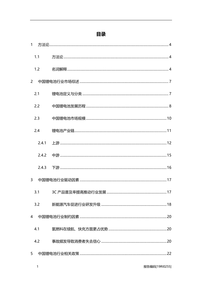 2019年中国锂电池行业市场研究.pdf_第2页