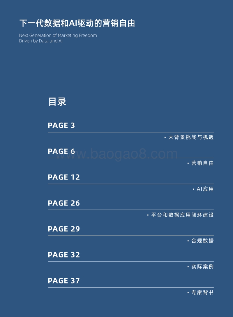 下一代数据和AI驱动的营销自由.pdf_第2页