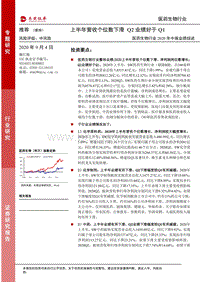 医药生物行业2020年中报业绩综述.pdf