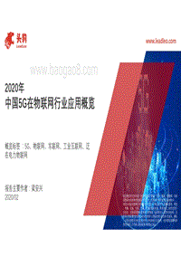2020年中国5G在物联网行业应用概览.pdf