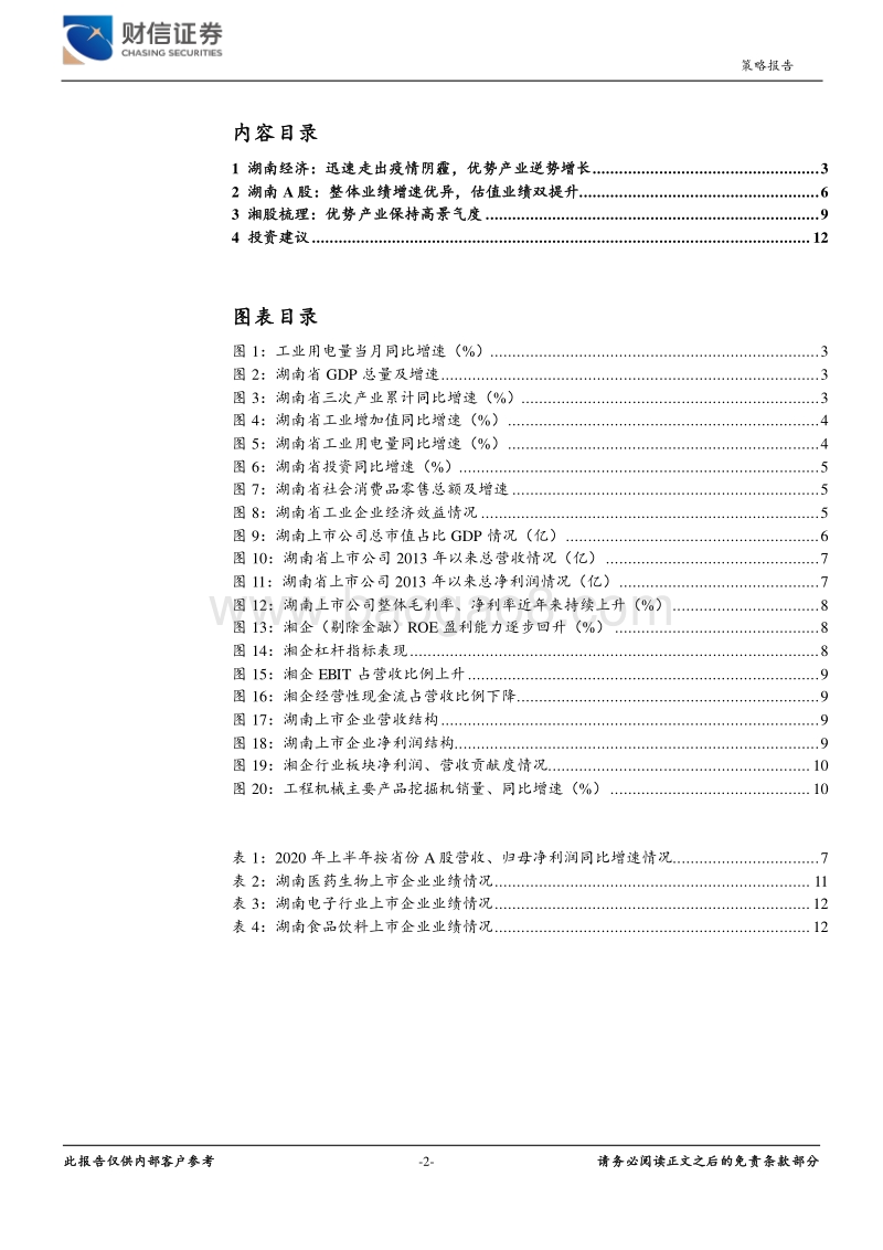 湖南资本市场专题系列报告（一）：湘股中报业绩表现优秀，后疫情时代湖南优势产业逆势扩张.pdf_第2页