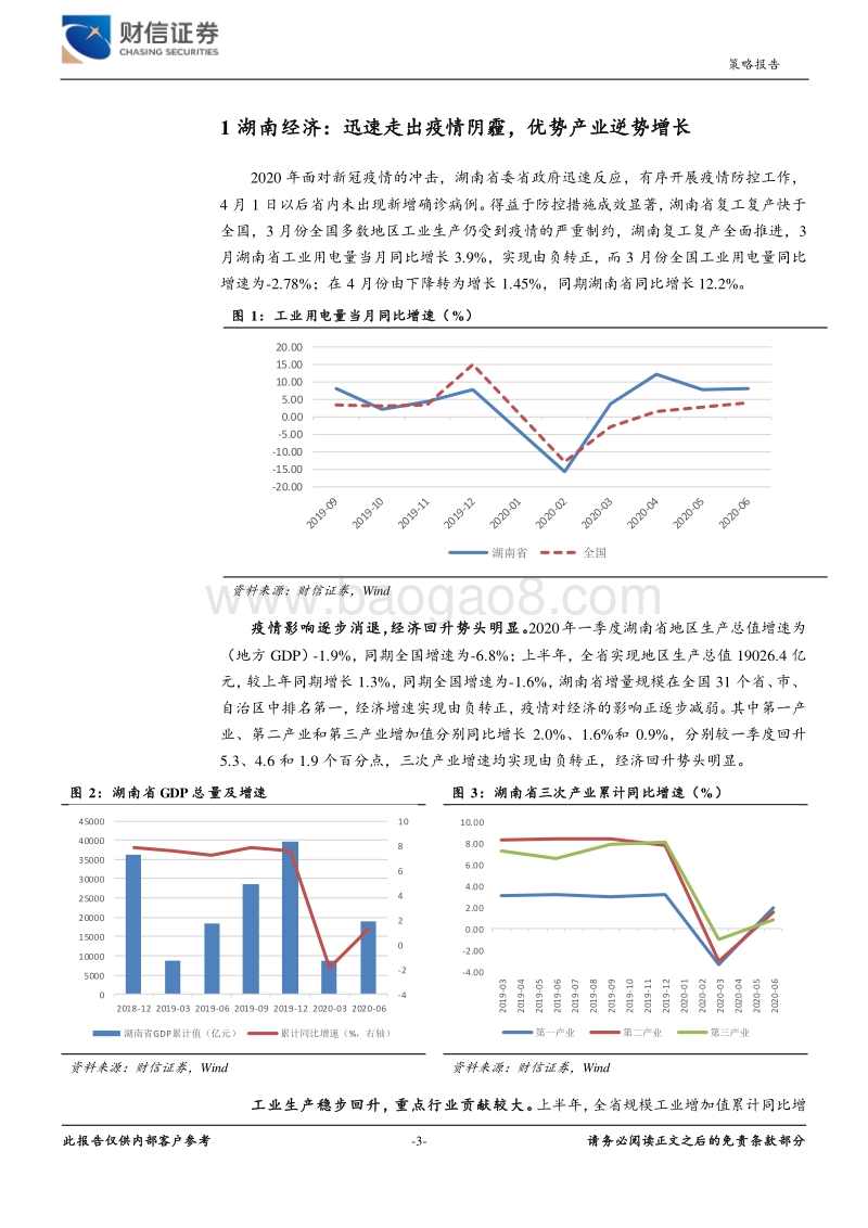 湖南资本市场专题系列报告（一）：湘股中报业绩表现优秀，后疫情时代湖南优势产业逆势扩张.pdf_第3页