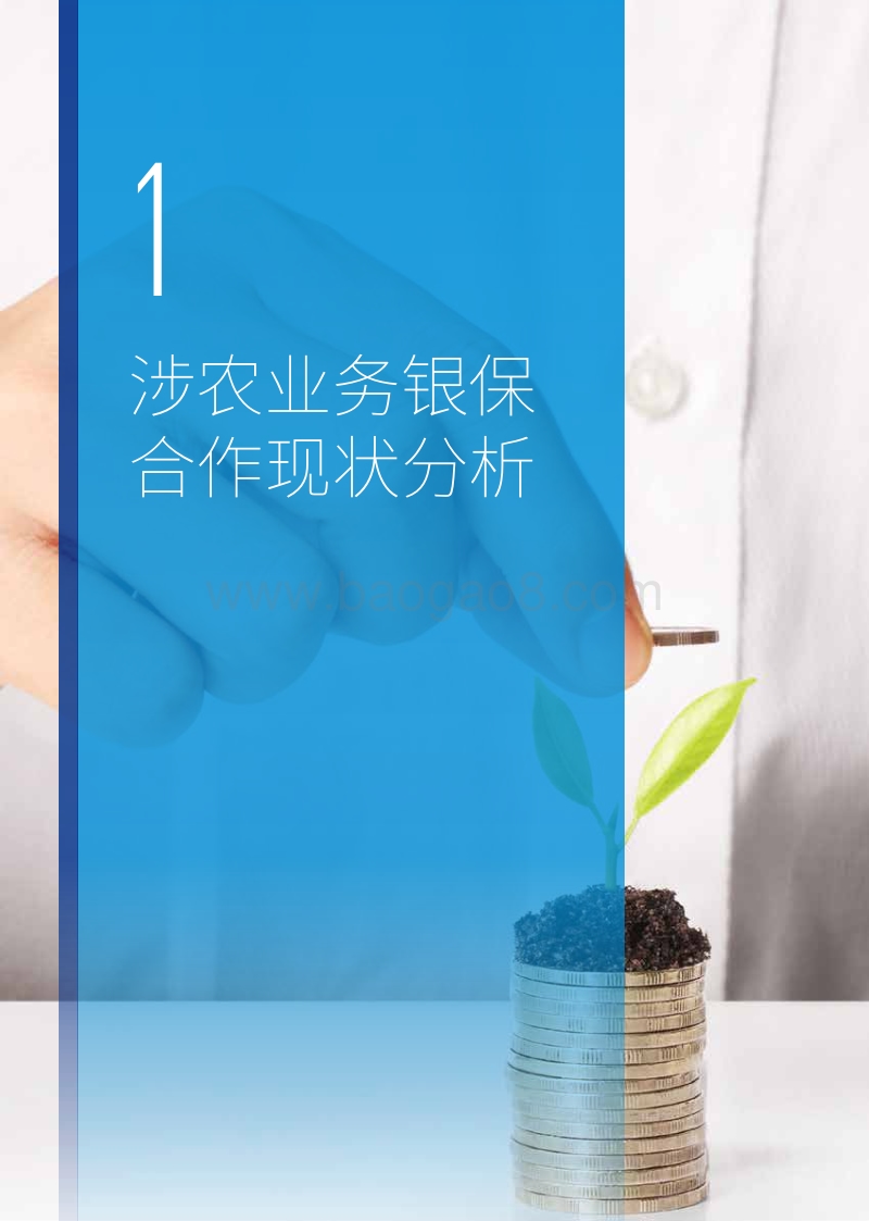 浅析涉农业务银保合作的发展之道.pdf_第4页
