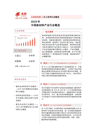 2019年中国新材料产业行业概览.pdf