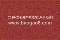2020-2021造车新势力发展研究报告.pptx