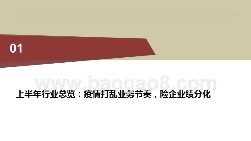 保险行业2020综合分析报告.pptx_第4页
