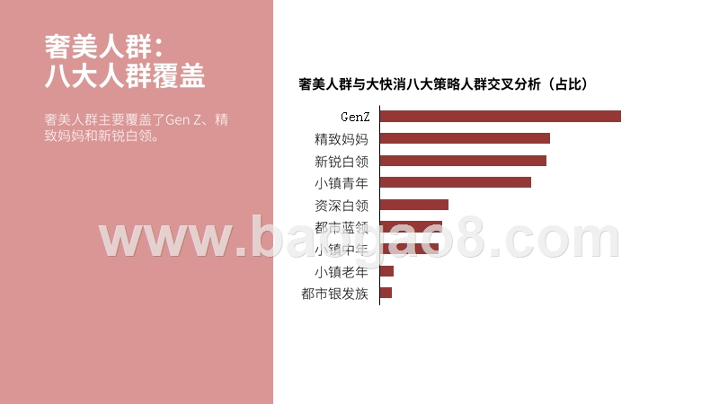 2020-2021美妆洗护行业特色人群研究报告.pptx_第5页