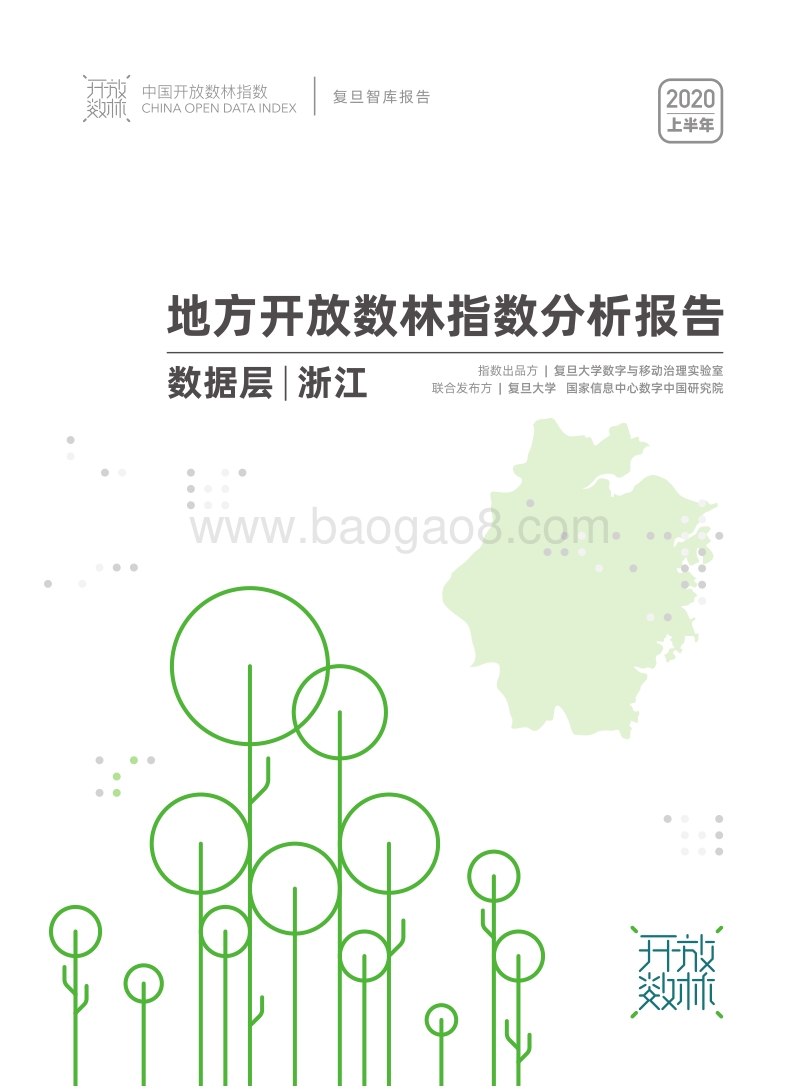 2020上半年地方开放数林指数分析报告数据层：浙江.pdf_第1页