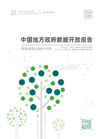 2020上半年中国地方政府数据开放报告.pdf