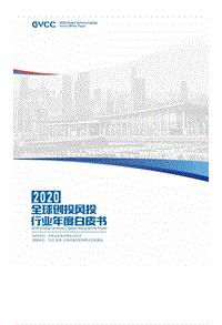 2020全球创投风投行业年度白皮书.pdf