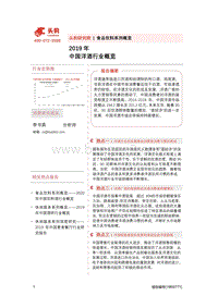 2019年中国洋酒行业概览.pdf
