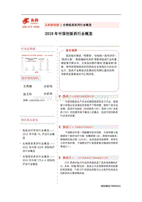 2019年中国创新药行业概览.pdf