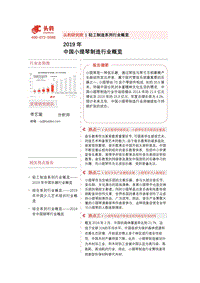 2019年中国小提琴制造行业概览.pdf