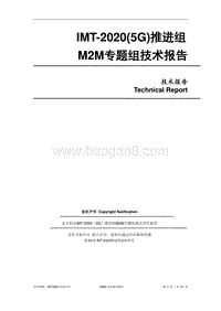 M2M专题组技术报告.pdf